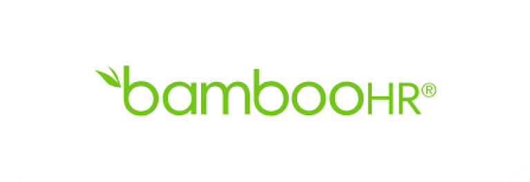 Bamboo