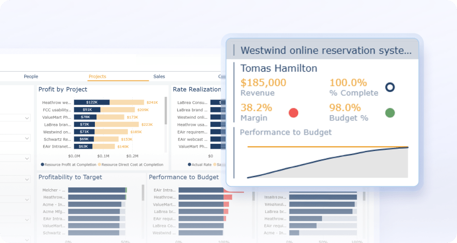 Portfolio Reporting BI Analytics