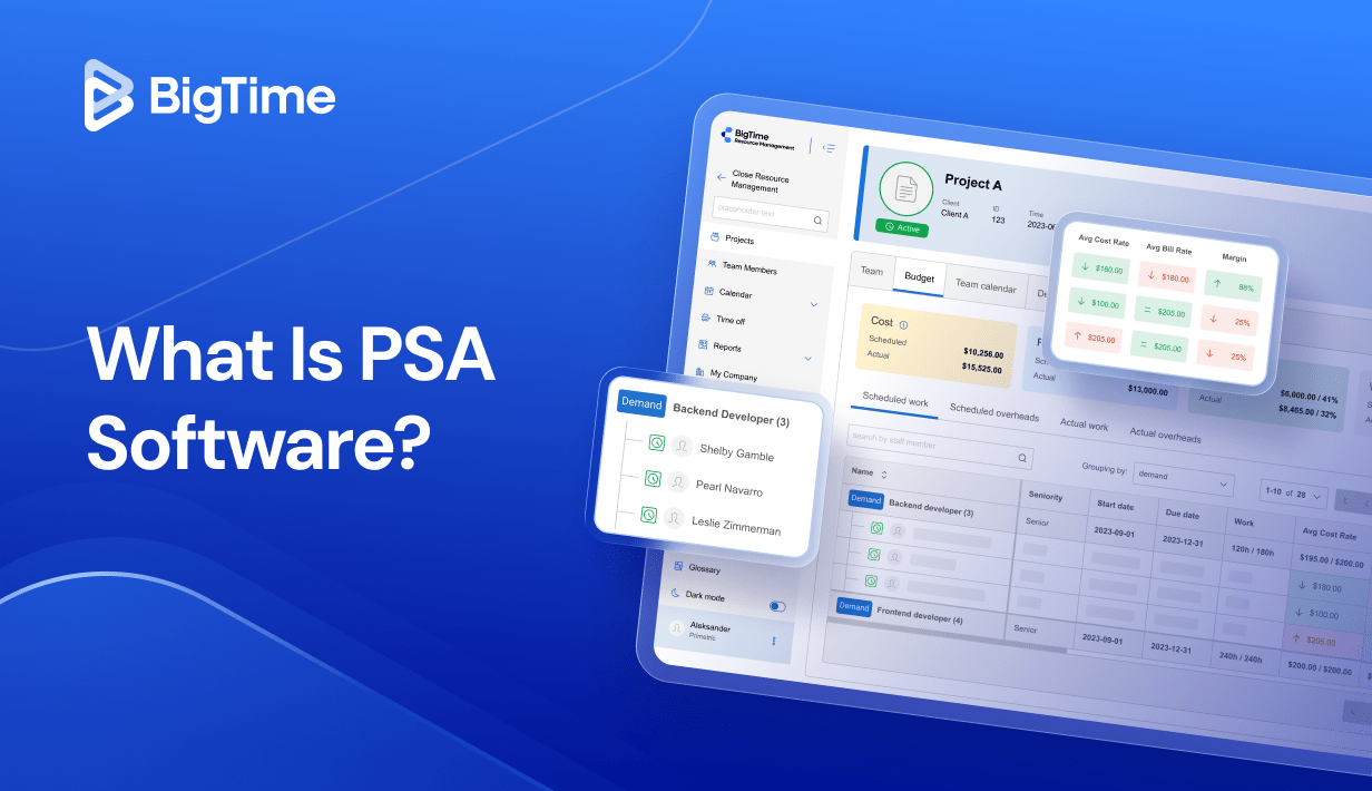 BT Blog Cover What Is PSA Software 